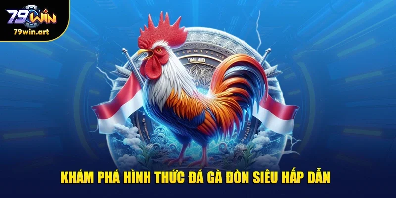 Khám phá hình thức đá gà đòn siêu hấp dẫn